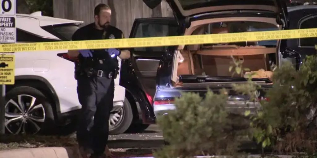 Deadly Shooting at Dallas Apartment Complex ONE KILLED, TWO HOSPITALIZED, Suspect at Large