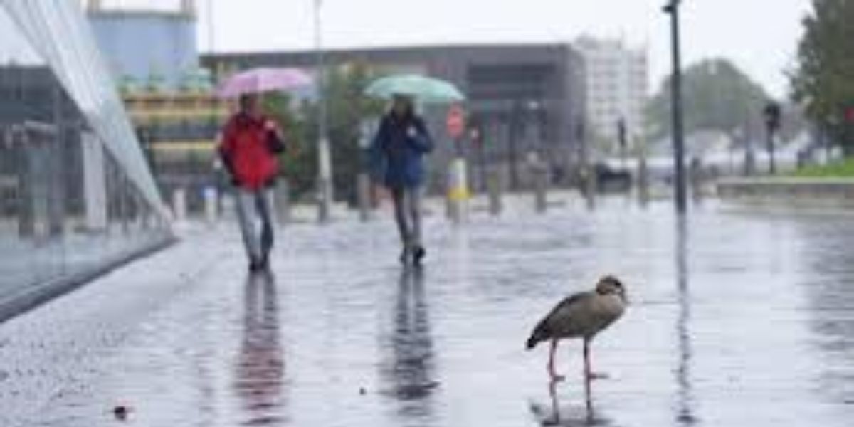 Gusty Winds and Rain May Disrupt Travel on I-20 and I-77 This Week