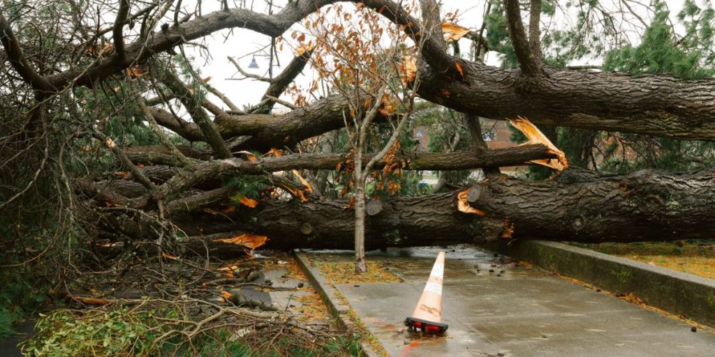 SECOND BOMB CYCLONE Atmospheric River to Drench San Francisco Bay Area With Up to 7 Inches of Rain