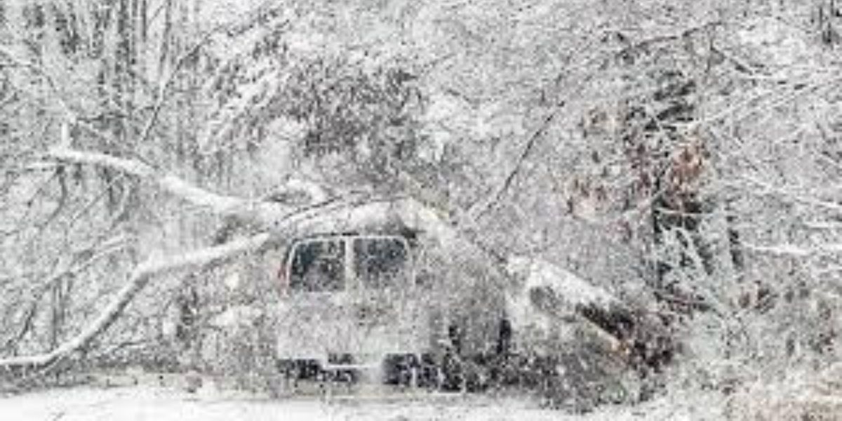 Heavy Snow and Tree Damage in Oxford: Passenger Rescued After Van Crushed by Falling Tree