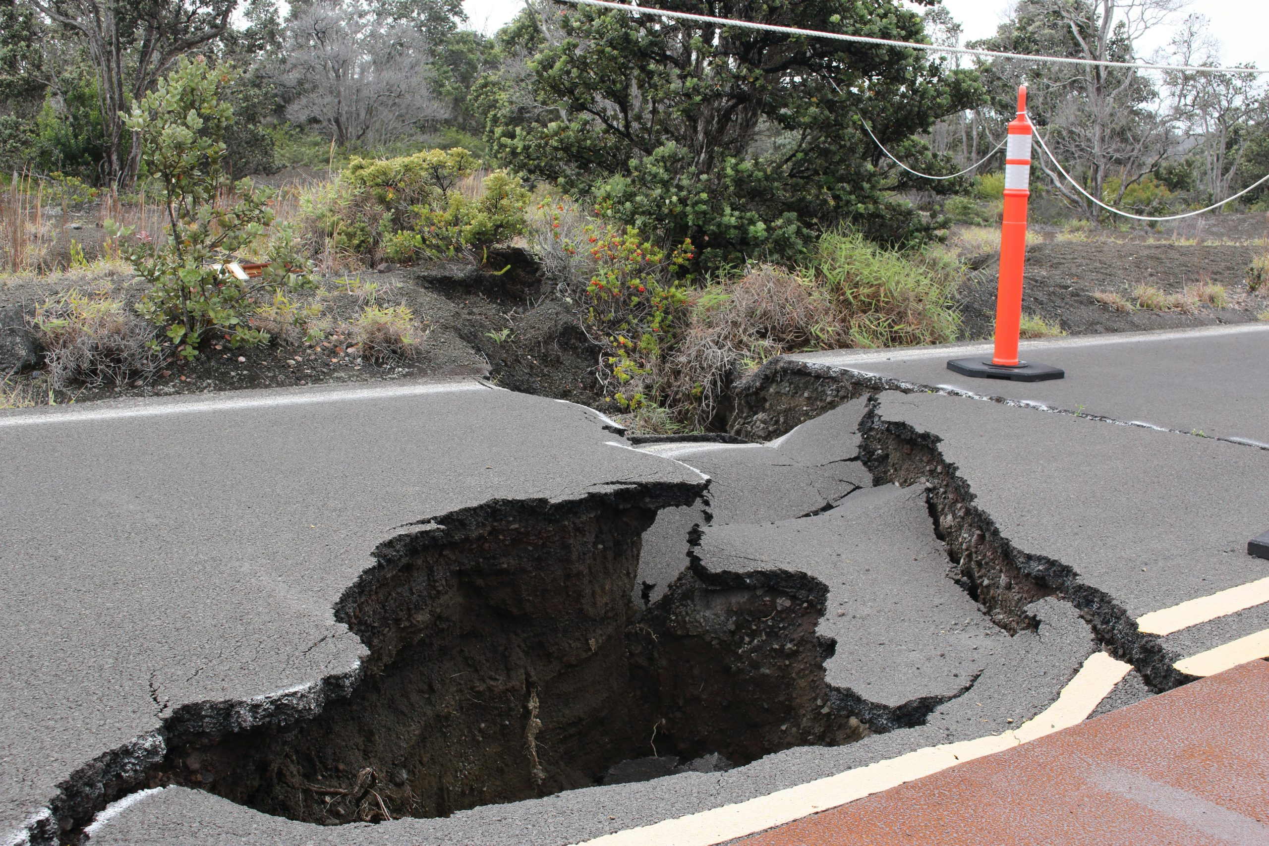 3.1 Magnitude Earthquake Shakes Bremerton, WA, Following Series of Seismic Events in Western Washington