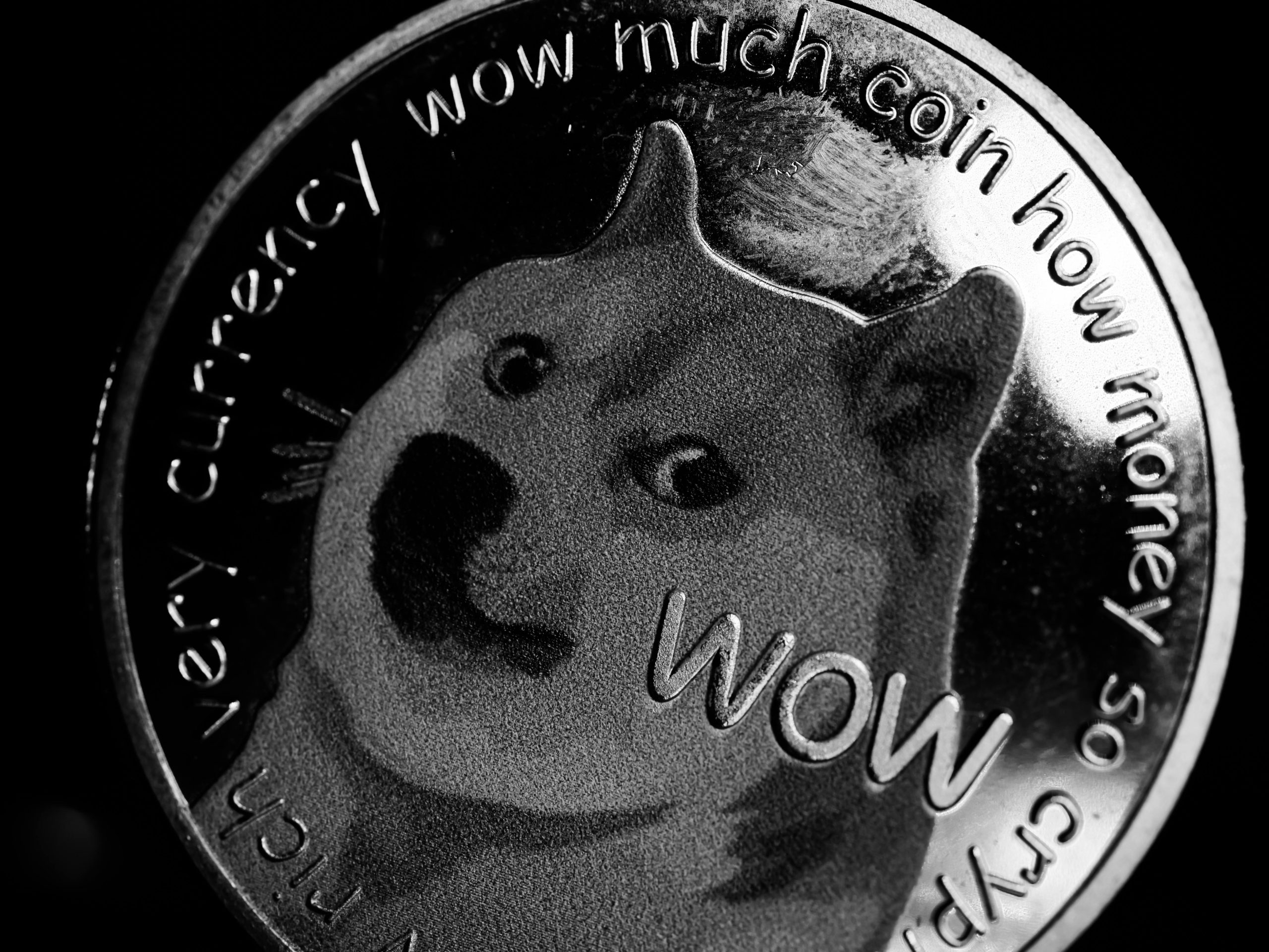 Colorado Residents Ask Whether DOGE Stimulus Checks Are Coming in 2025