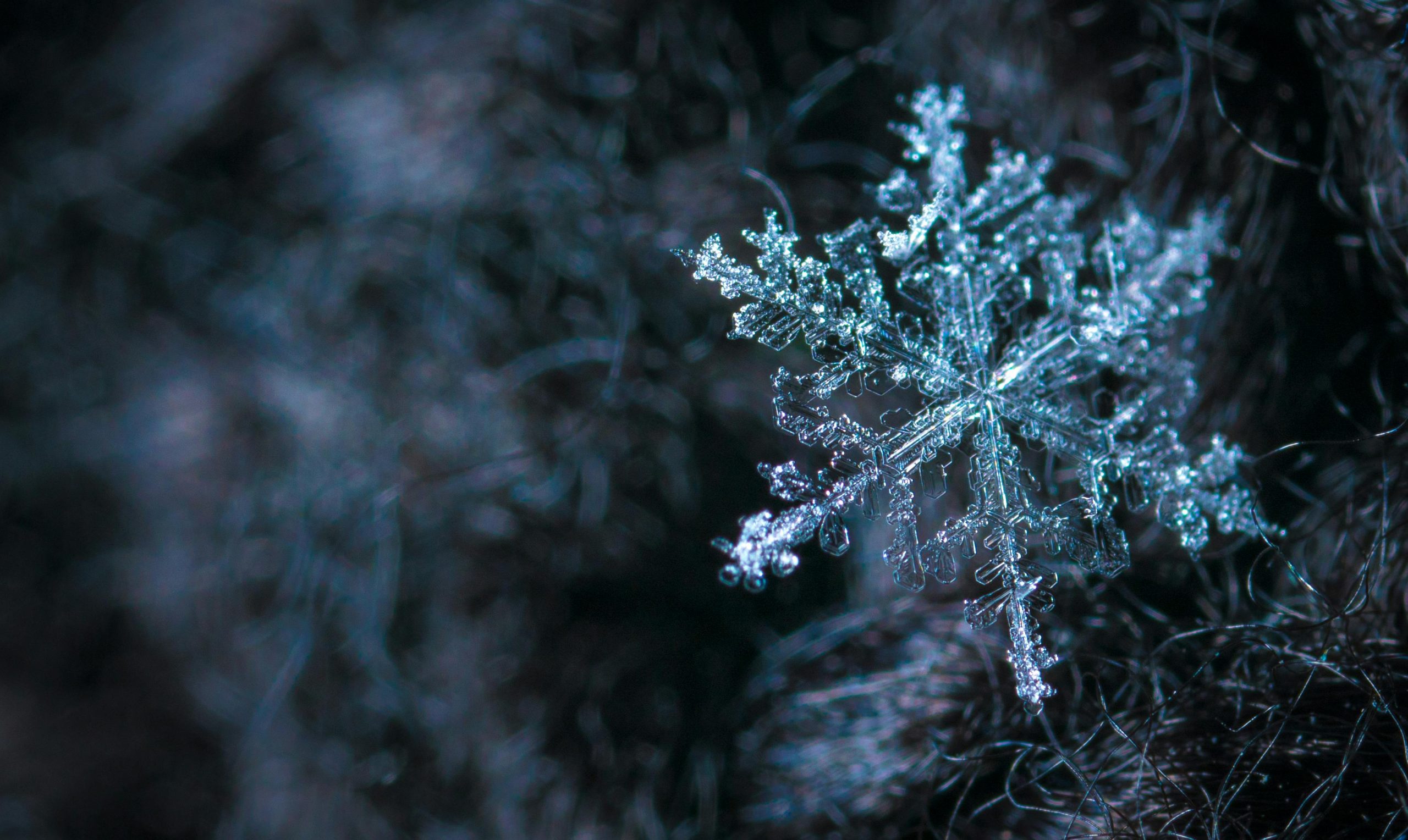 Extreme Cold Warning Wind Chills Plunge to -35°F—Stay Safe & Prepared!