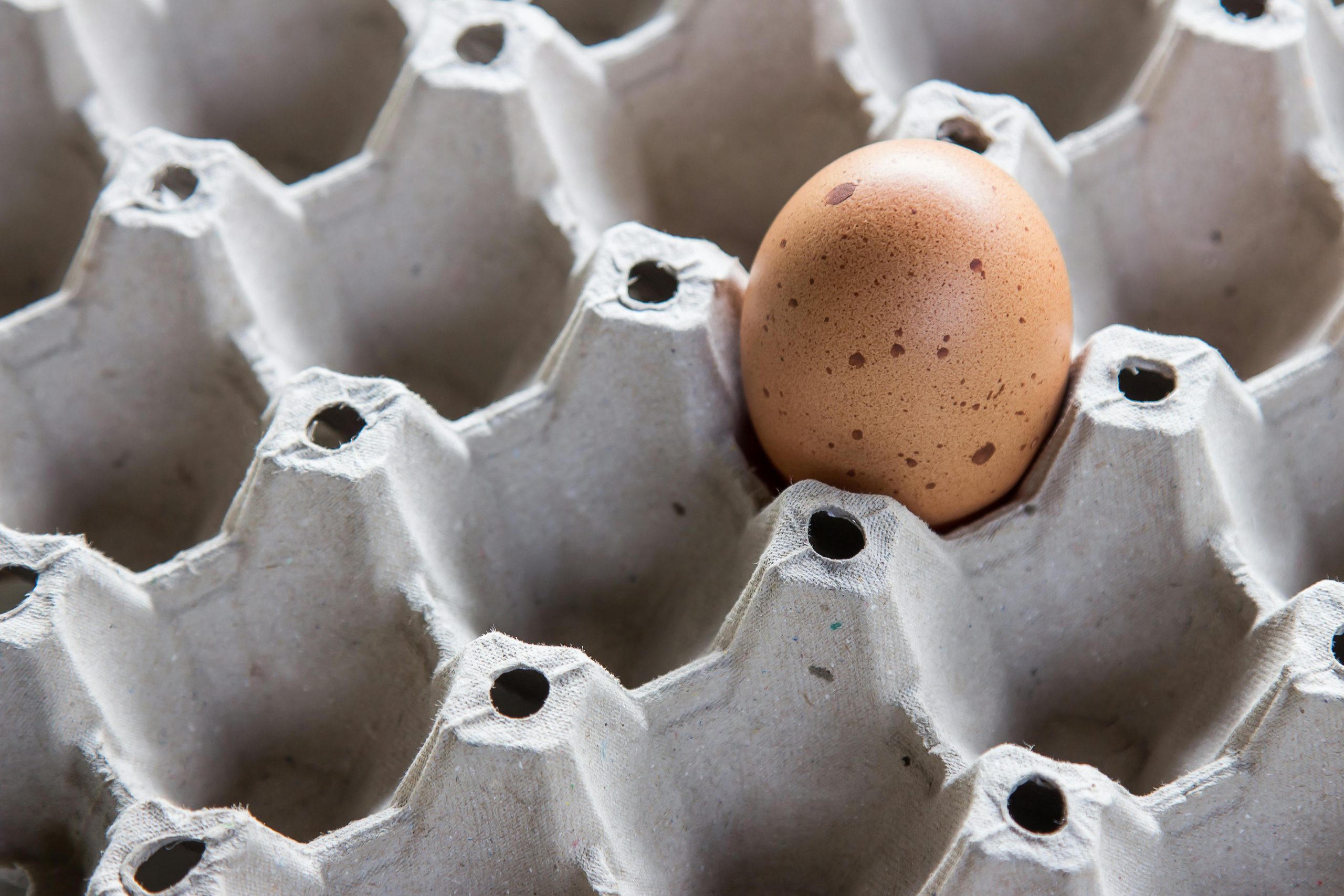 Florida Egg Prices Hit $6 Per Dozen: What’s Driving the Inflation?