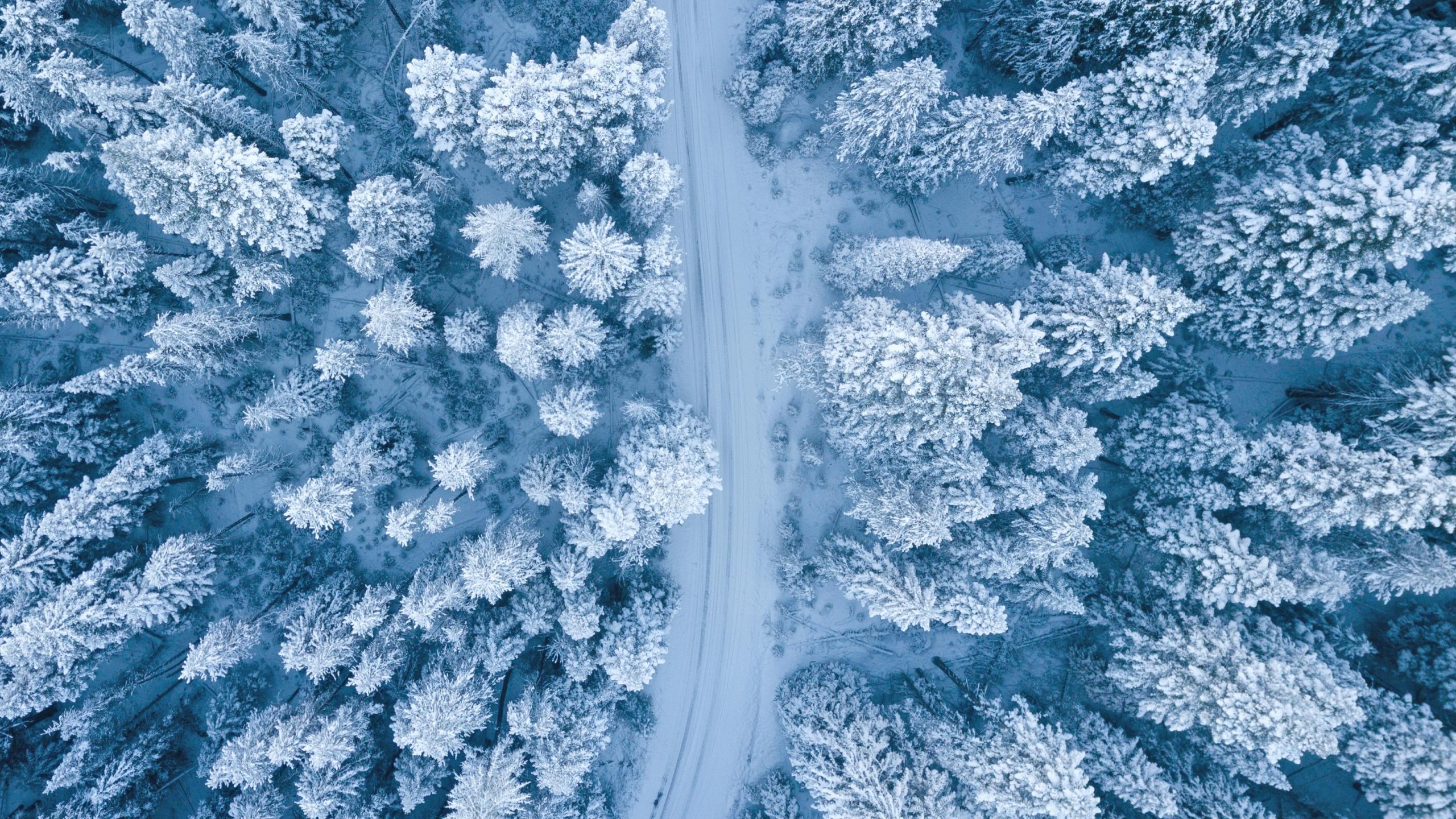 Maine Winter Storm Warning Up to 19 Inches of Snow, Hazardous Travel Expected