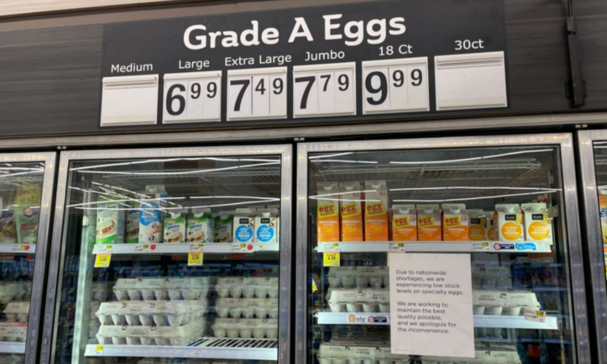 Minnesota Egg Prices Soar What’s Behind the Cost Increase