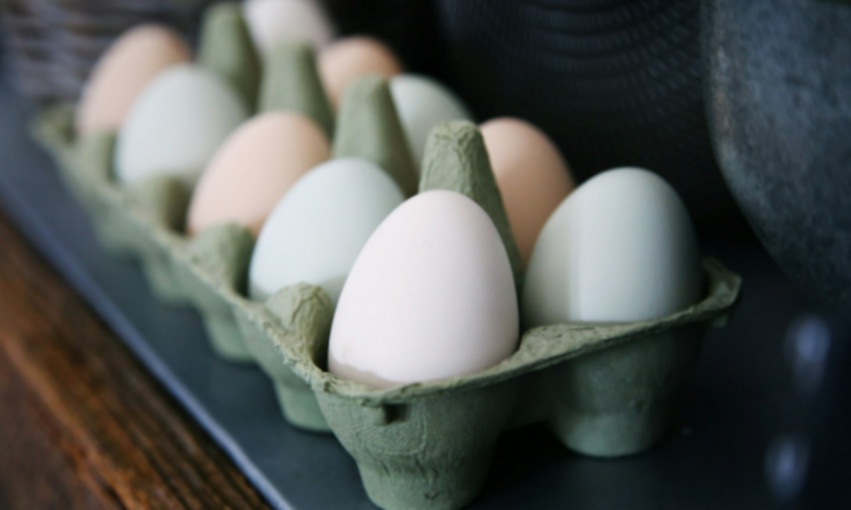 Missouri Egg Prices Reach New Highs as Demand Outpaces Supply