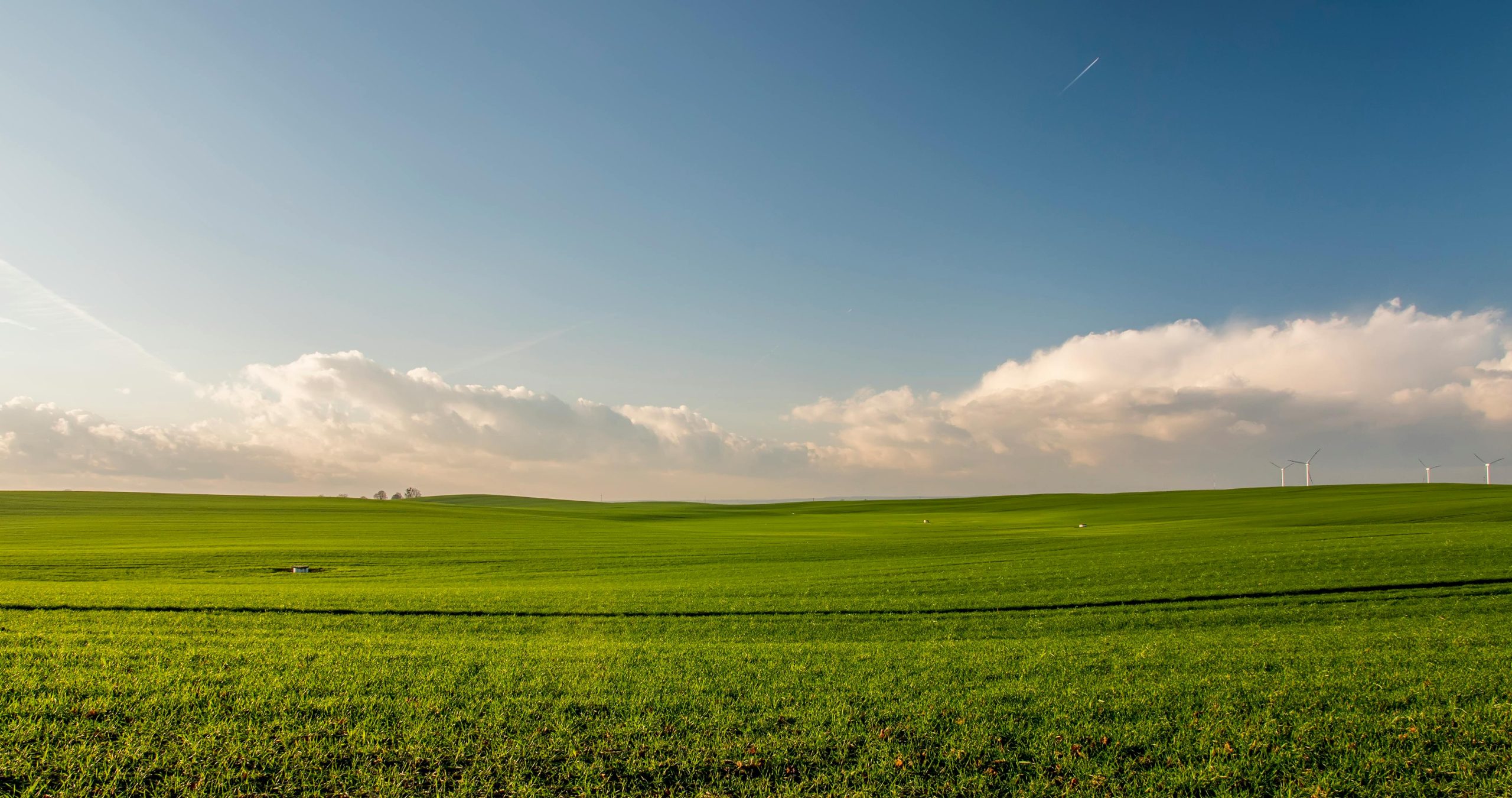 Missouri Senate Weighs Ban on Foreign-Owned Farmland, Vote Could Happen Soon