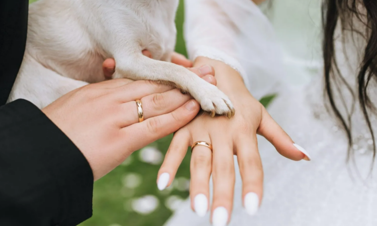 Pet-Lovers Rejoice! New York Approves Pets as Legal Wedding Witnesses