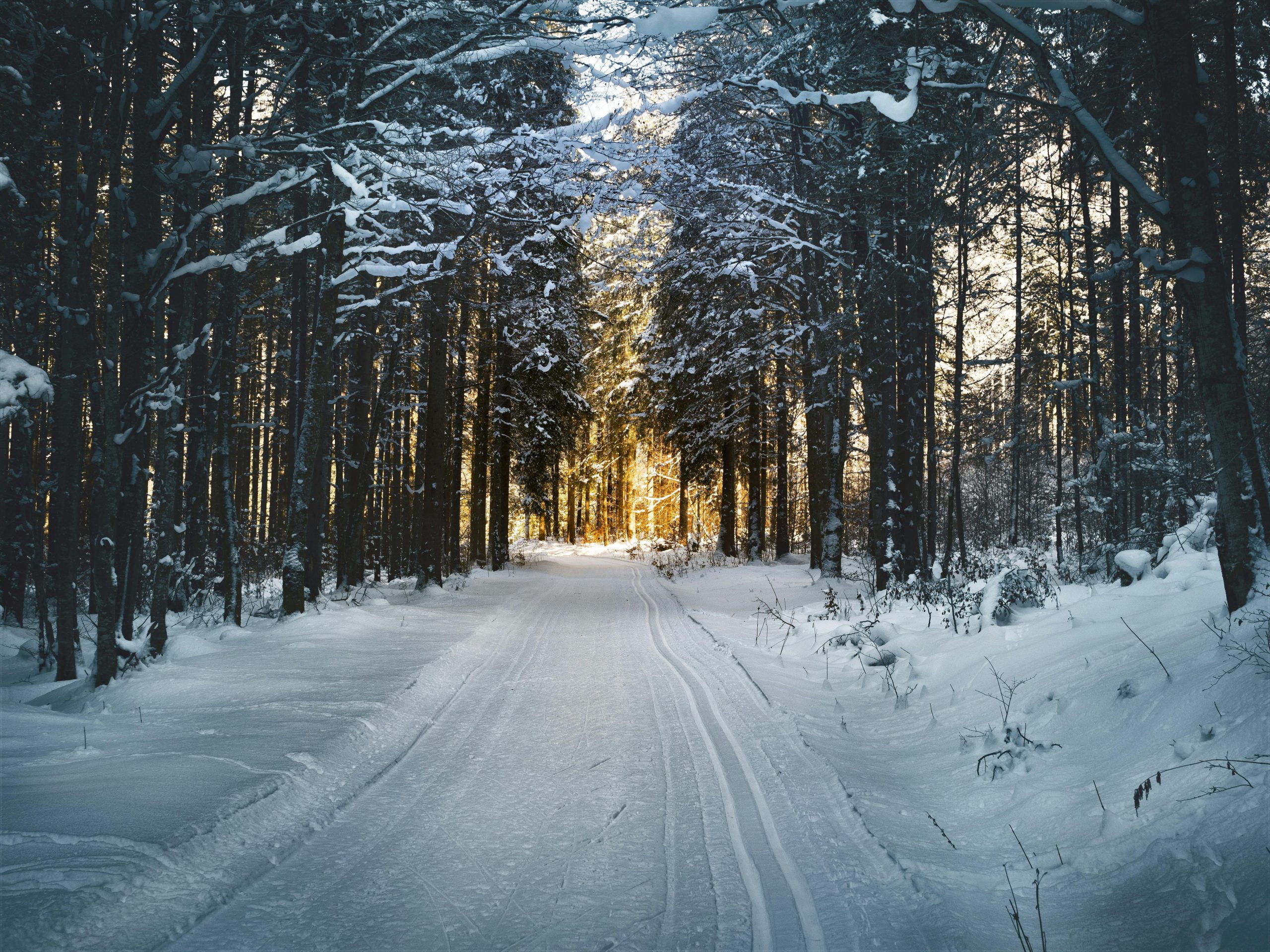 Snow Returns to Alabama Schools Close as Winter Weather Hits Again