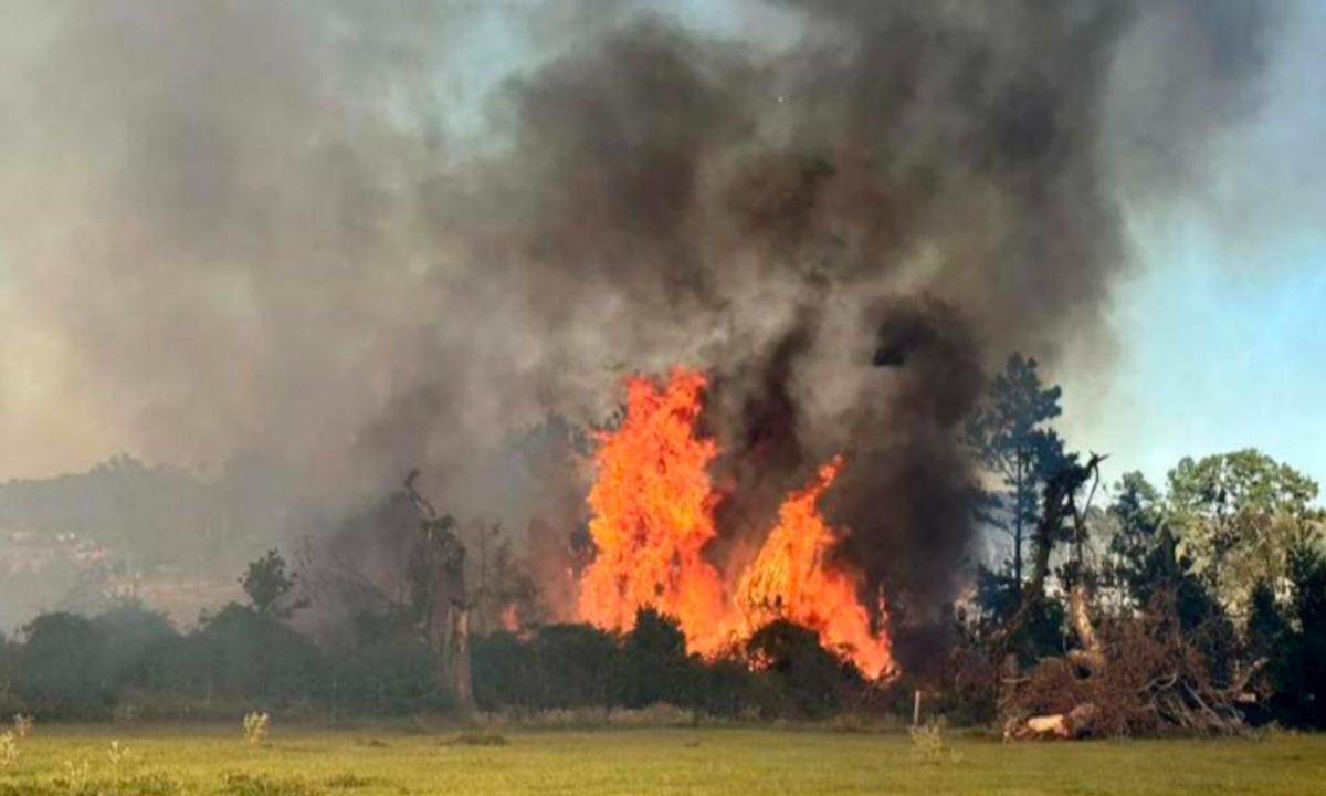 Texas Fire Officials Warn of Increasing Grassfires Amid Dry, Windy Conditions