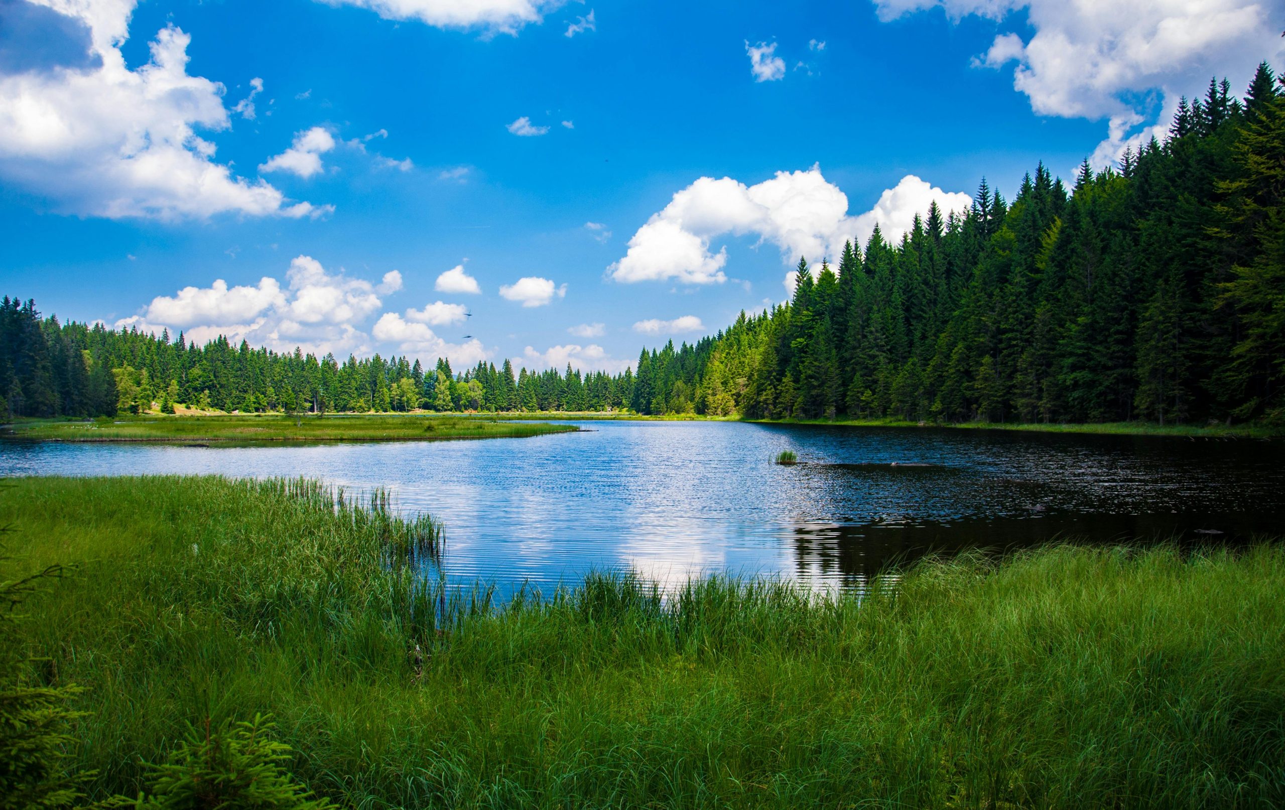 16 Best Lakes in Tennessee for Boating, Fishing, and Relaxing Getaways