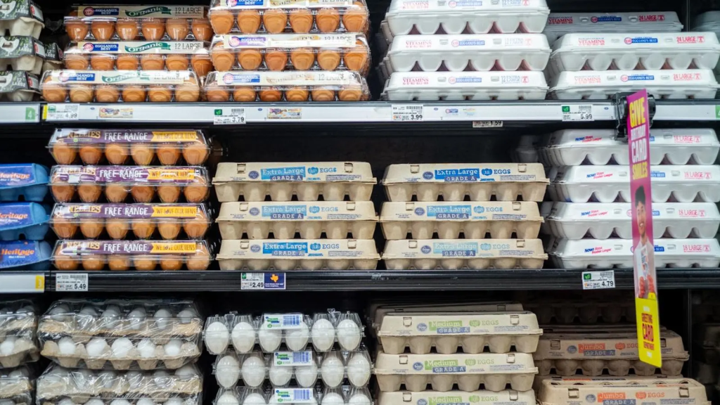 Trump Lies About the Price of Eggs, Groceries and Gas