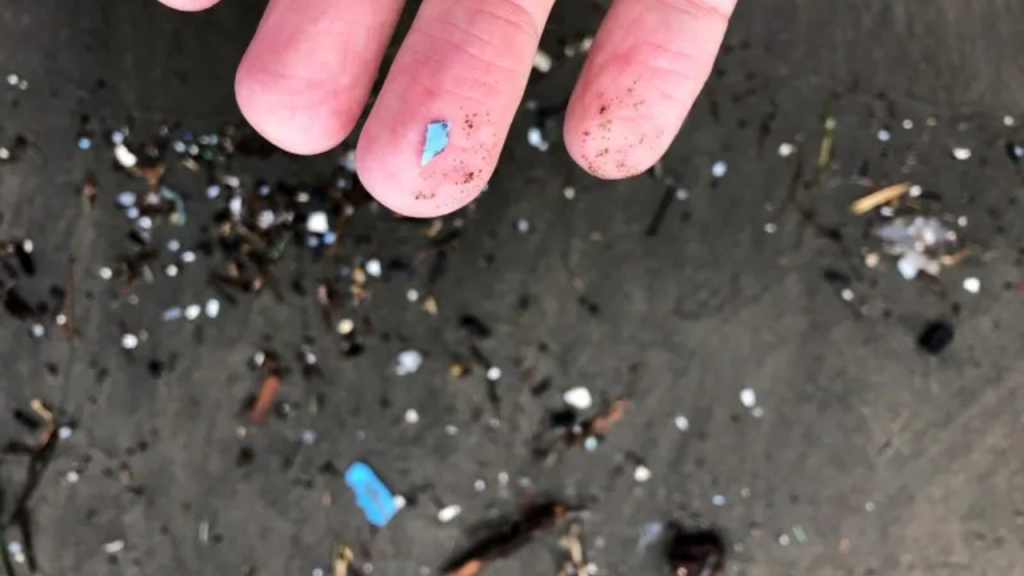 Tiny Microplastics In Junk Food May Be Damaging your Mental Health