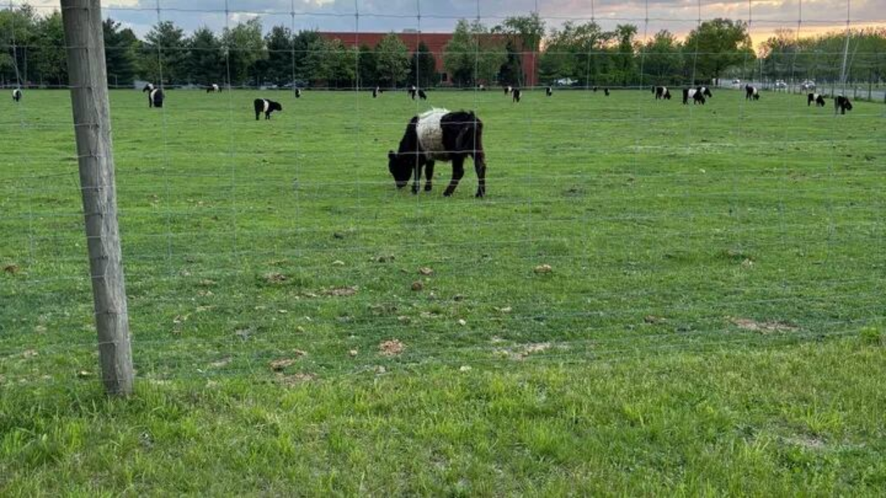 NJ Family Battles Town’s Plan To Seize 175-year-Old Farm For Affordable Housing Project