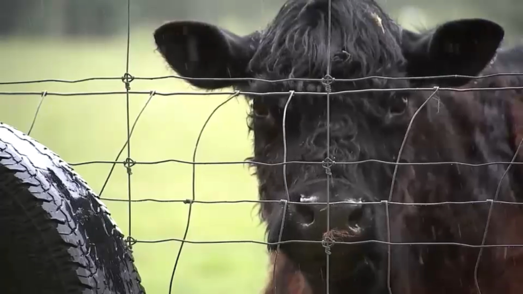 NJ Family Battles Town’s Plan To Seize 175-year-Old Farm For Affordable Housing Project