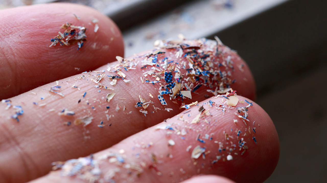 Tiny Microplastics In Junk Food May Be Damaging your Mental Health